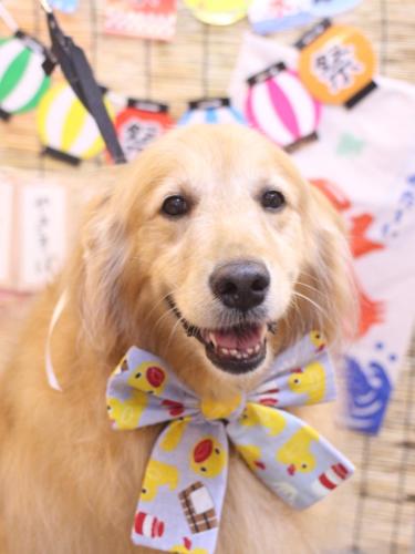 20240709Mickeyちゃん